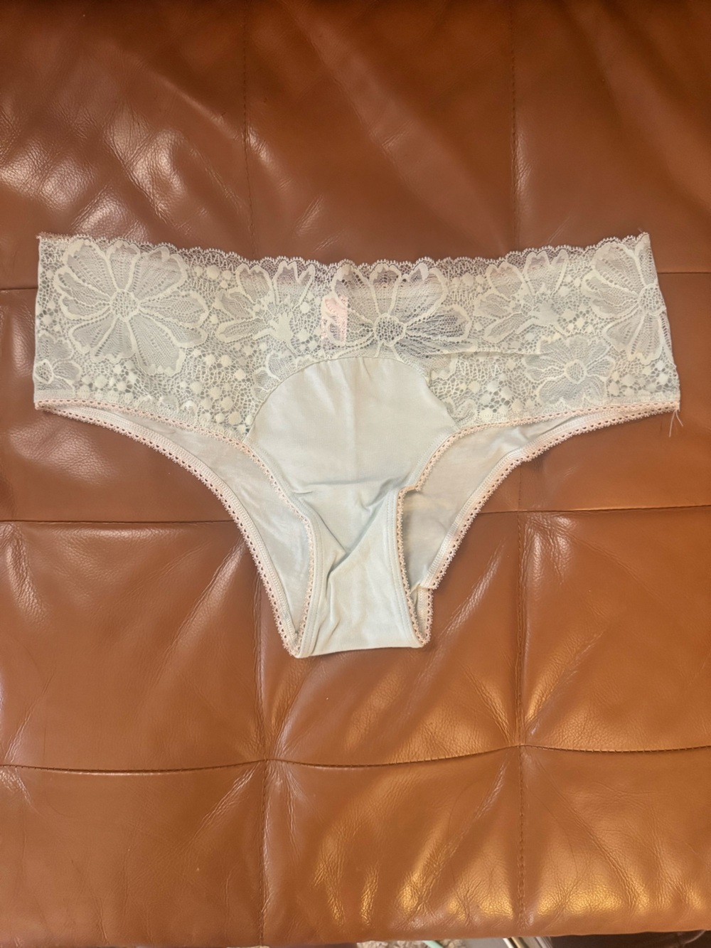 Victoria's Secret Pastel Mint Blue Lace Panty